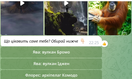 Island tours